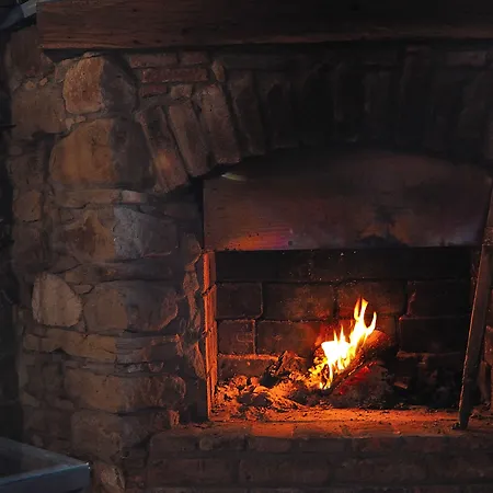 Iabiti-aurrekoa Zamudio